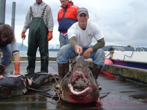 fishing-boat-captains-wear-xtratuf-boots